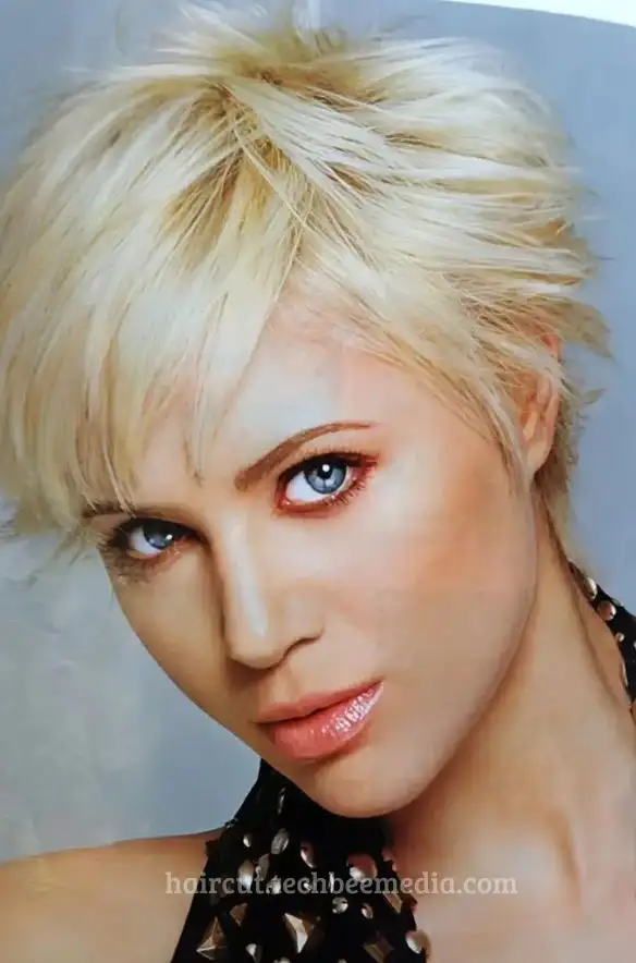 Timeless Appeal of Pixie Haircuts for Women,haircut ideas for older women,pixie cut for curly hair,hairstyles for older women,stylish pixie haircuts,beauty tips for mature women,short hair for women,timeless hairstyles,short pixie hairstyles,volume for curly hair,trendy pixie cuts,low-maintenance haircuts,pixie cuts,curly pixie cut tutorial,haircare for seniors,curly pixie cut,styling curly pixie cut,sophisticated pixie looks,women over 60,fashion for seniors,mature women's hairstyles