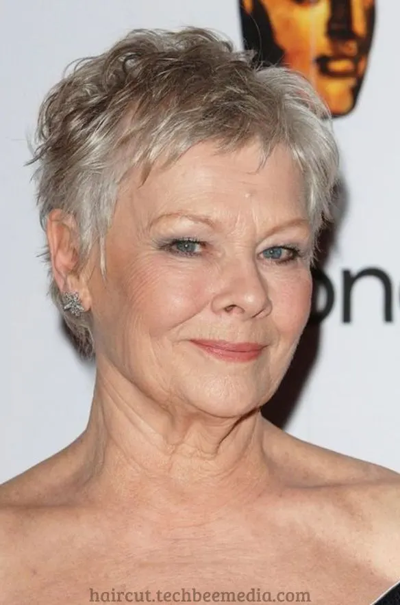 hairstyles for women over 50,haircuts for women over 50,short haircuts for women over 50,pixie haircuts for women over 50,short hairstyles for women over 50,pixie haircuts,short haircuts for women,women over 50,women haircut,pixie haircut,2015 pixie haircuts for women over 50,pixie haircuts for women over 50 back view,pixie haircuts for women over 50 years old,pixie haircuts for women over 50 round face,pixie haircuts for women over 50 with bangs